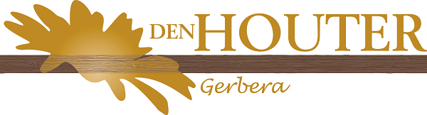 Den Houter Gerbera